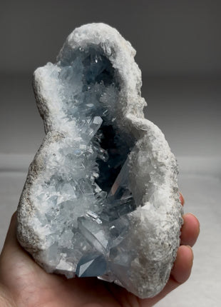 Gem ! Sky Blue Celestite Geode