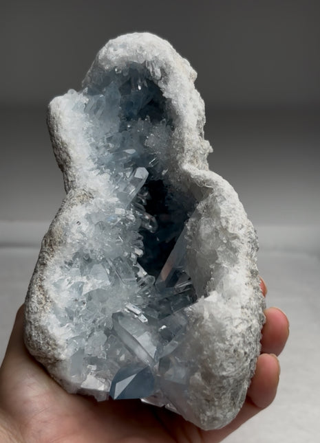 Gem ! Sky Blue Celestite Geode