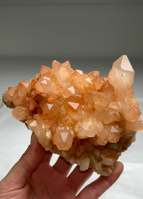 New arrival ! Red Passion Quartz