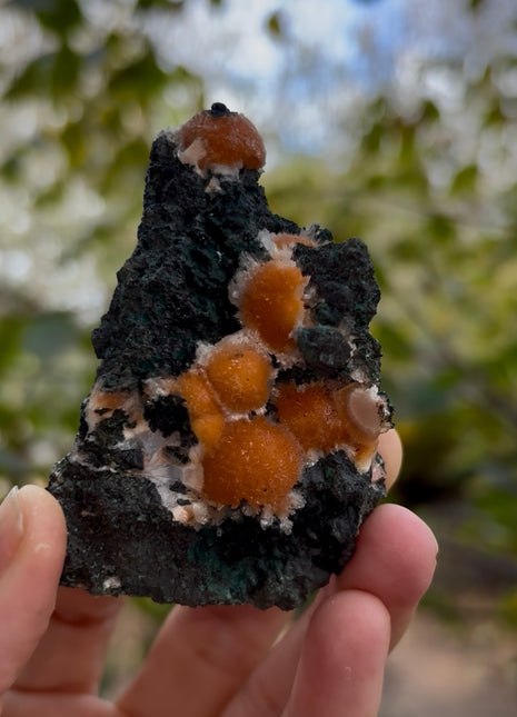 Bright Orange Thomsonite with Mesolite