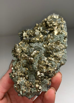 Lustrous Pyrite with Green Chlorite Matrix - From Rhodope Mountains, Bulgaria