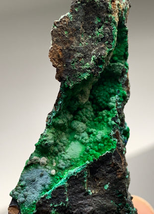 Vibrant Green Conichalcite ! From Spain