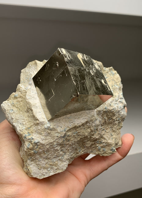 New ! Cubic Pyrite on Matrix from Navajun, Spain