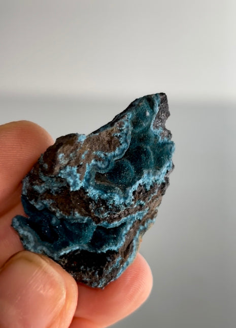 Velvety Blue Shattuckite Geode PM0980