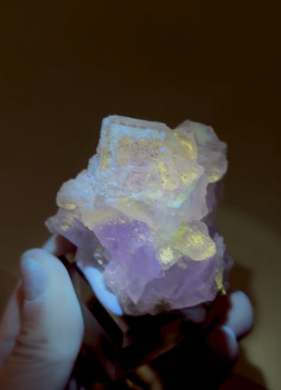 New Arrival ! Galaxy Fluorite