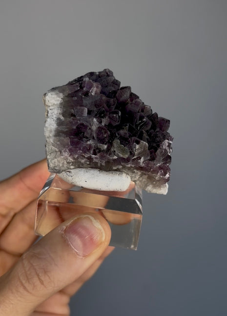 Wow ! Amethyst with Pyrite