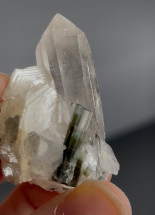 Blue Green Cap Tourmaline with Quartz, Muscovite PM1434
