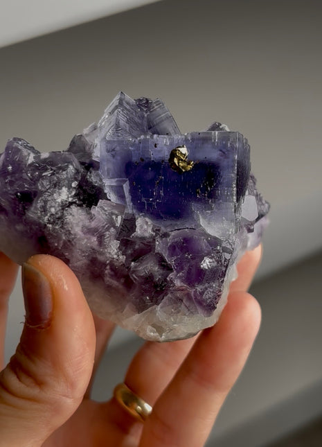 Zoning Fluorite from La Viesca mine Collection # 731