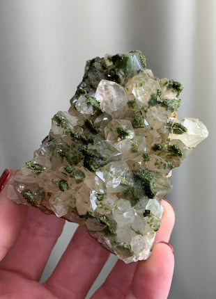 Forest Epidote with Quartz  🌲