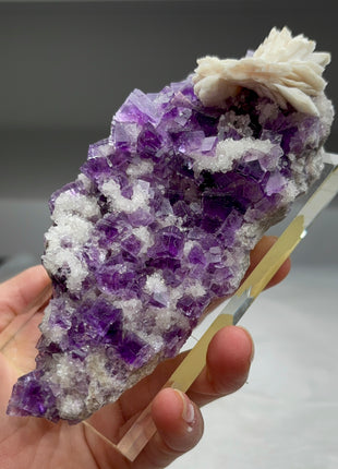 Finest ! Fluorite with Barite Flower from Berbes Collection # 381