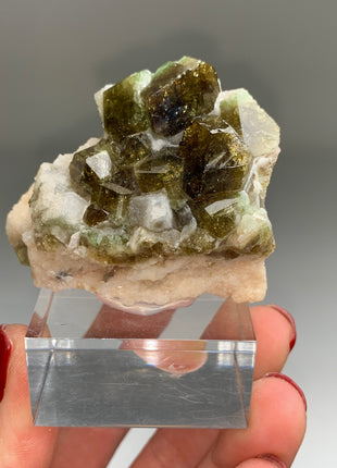 Olive Green Uvite Tourmaline - Collection # 073
