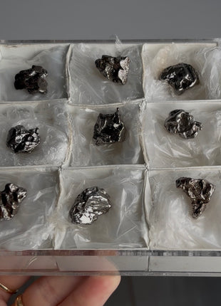 9 Pieces ! Campo del Cielo Meteorite Lot