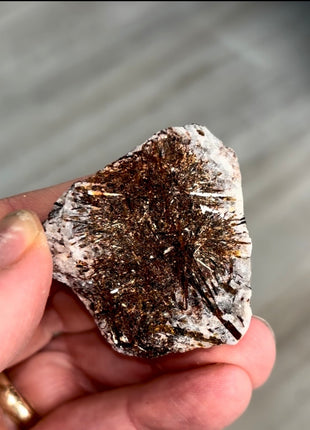 Astrophyllite Specimen from Khibniy Massif, Russia