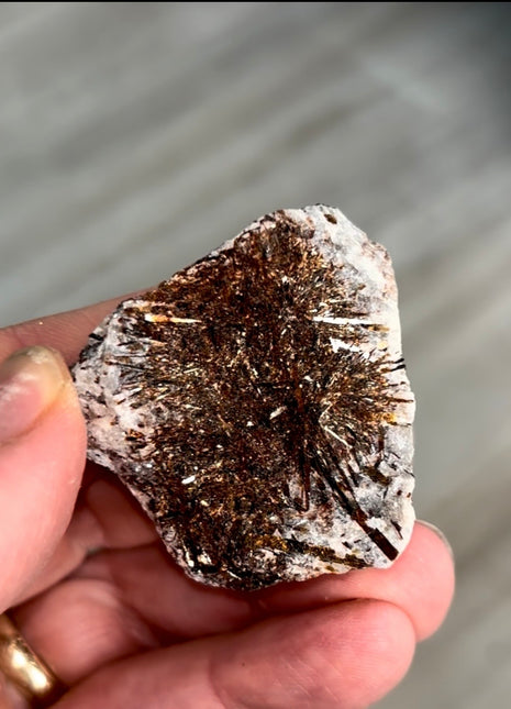 Astrophyllite Specimen from Khibniy Massif, Russia