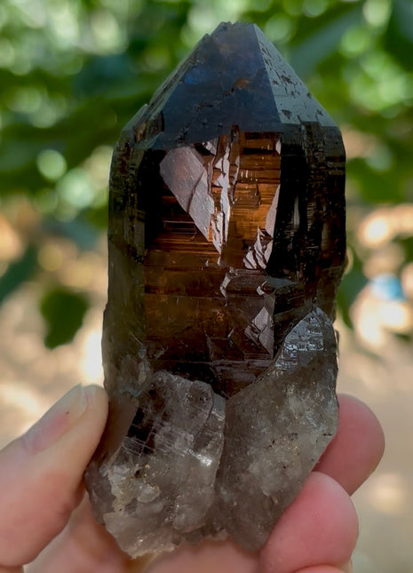 Morion Quartz PM1215