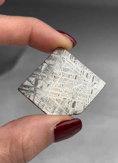 Muonionalusta Meteorite ☄️
