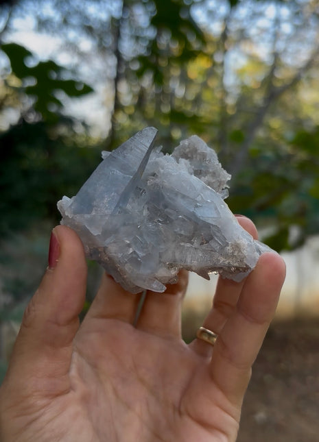 Sharp ! Blue Celestite