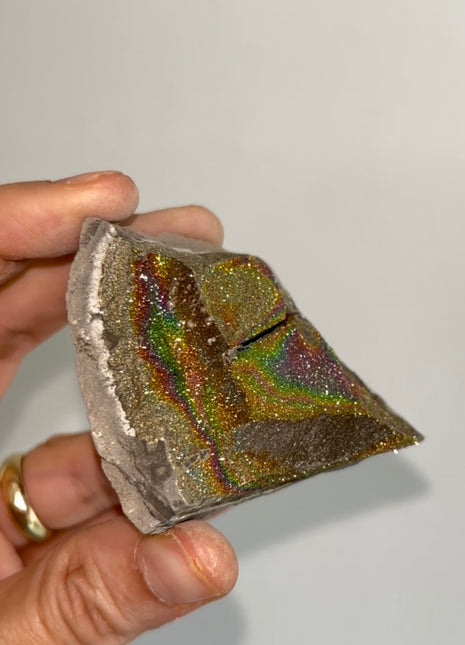 Spectropyrite Specimen from Volga River, Russia 🌈
