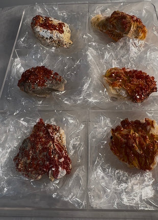 6 Piece Lot ! High Grade Red Vanadinite Specimens