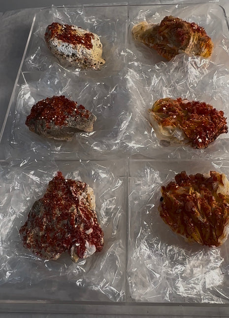 6 Piece Lot ! High Grade Red Vanadinite Specimens