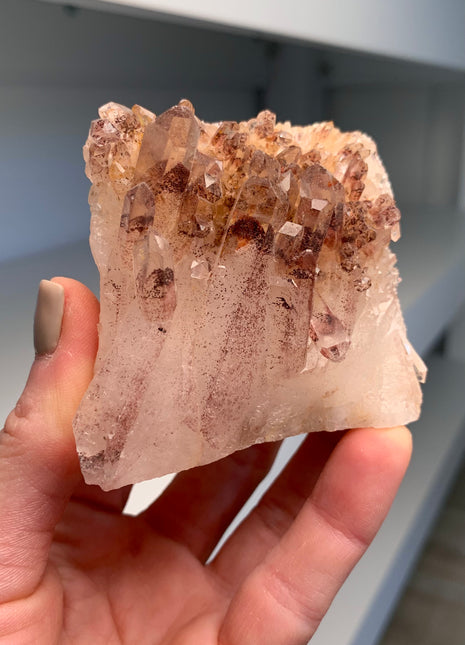 Great Phantoms ! Sunset Quartz 🔥 *