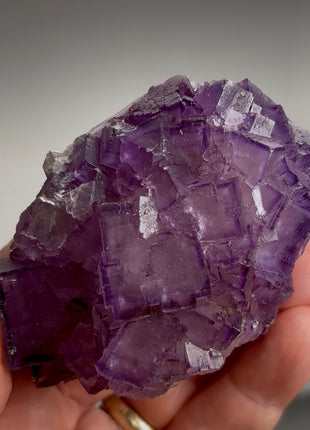 New find ! Fluorite from Turkey PM1169