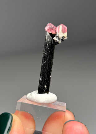 Pink Cap Tourmaline