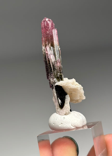 Pink Cap Tourmaline with Cleavelandite