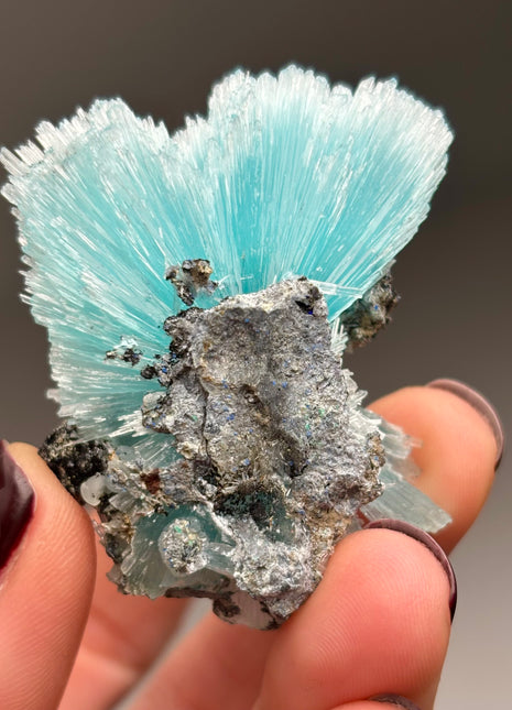 Silky Blue Aragonite Spray Collection # 243 *