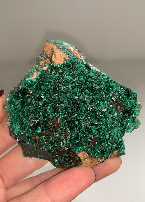 Lustrous Green Brochanthite - From Bou Beker, Morocco DWS