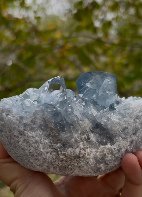 Gem 💎 Sky Blue Celestite Geode