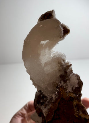 Magical ! Rams Horn Selenite on Matrix