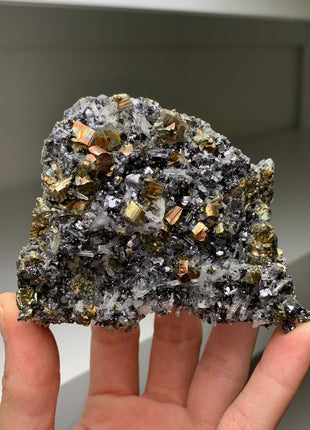 Very High Grade Pyrite, Silvery Galena with Quartz