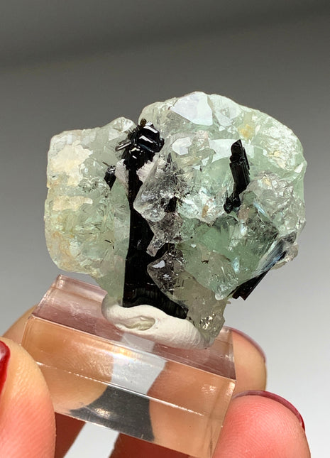 Sweet 💚 Green Fluorite with Black Tourmaline DWS