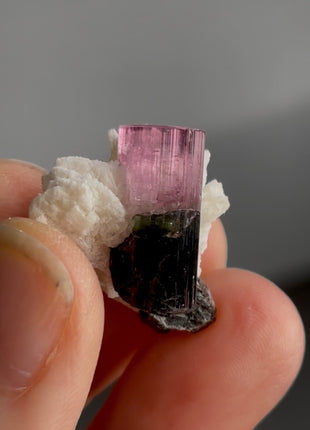 Pink Tourmaline with Albite PM1479