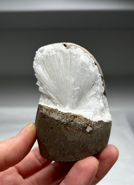 Scolecite Flower Geode with Druzy Quartz