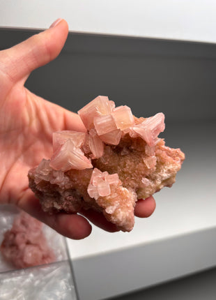 9 Piece Lot ! High Grade Pink Halite from Searles Lake, California