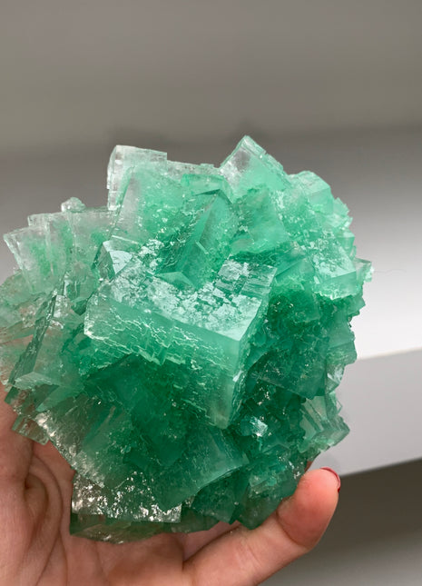 Very High Grade Green Halite - From Lubin mine, Poland