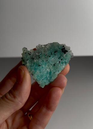Caribbean Blue Aragonite