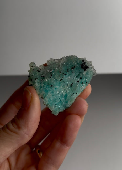 Caribbean Blue Aragonite
