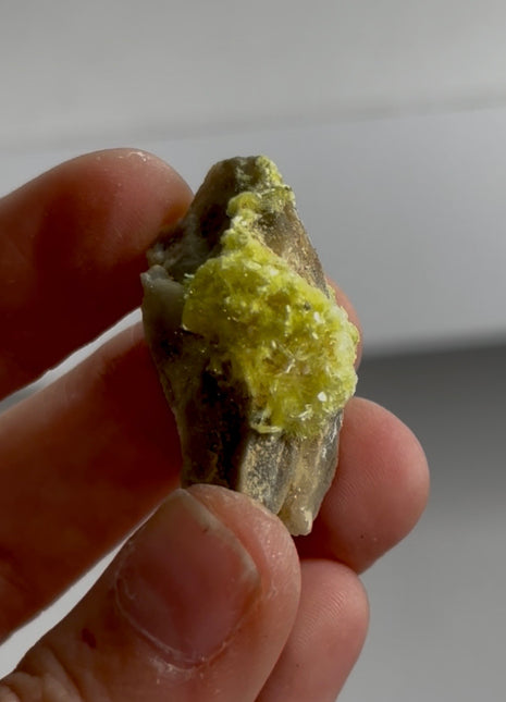 Rare ! Yellow Carlhintzeite Specimen