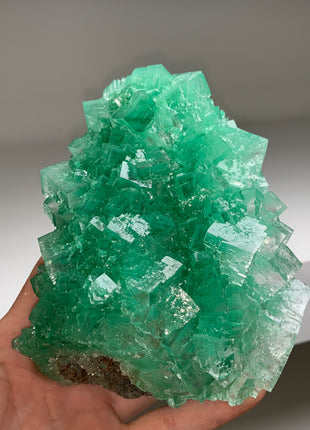 Very High Grade Green Halite - From Lubin mine, Poland