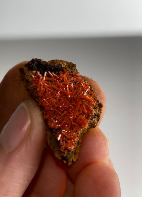 Red Crocoite Specimen PM0461