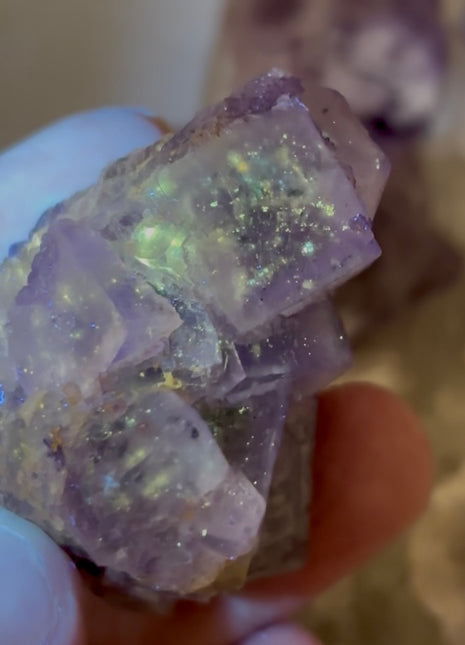 12 Pieces ! Galaxy Fluorite Lot