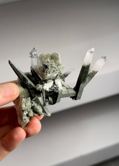 Quartz with Chlorite from Ganesh Himal PM1275