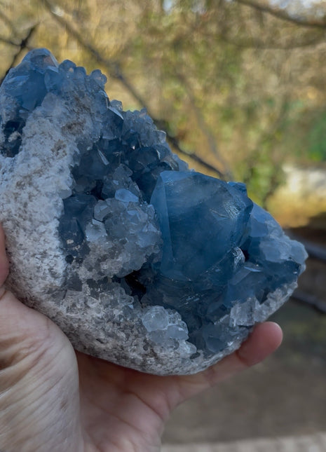 Sky Blue Celestite Geode