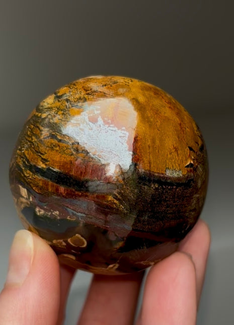 Marra Mamba Tiger’s Eye Sphere from Australia