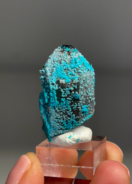 Quartz with Blue Chrysocolla