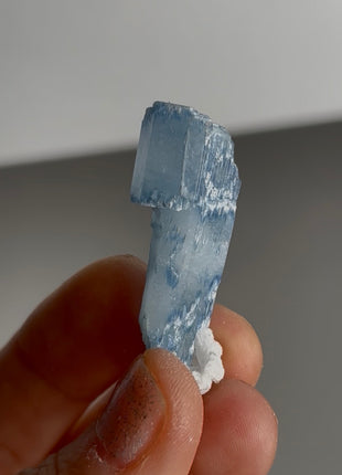 Blue Cap Aquamarine Scepter