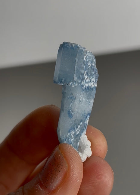 Blue Cap Aquamarine Scepter